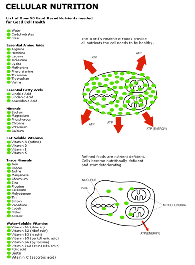 Cellular Nutrition