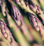 Asparagus