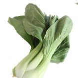 Bok choy