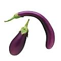 Eggplant