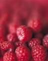 Raspberries